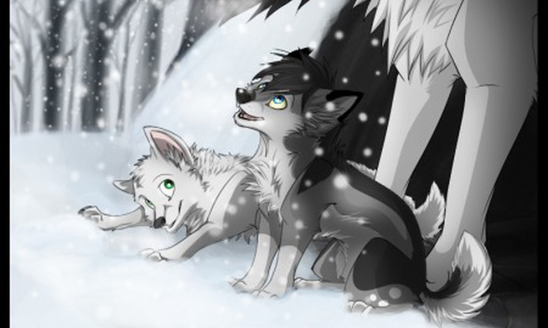 Волчонок и снежинки