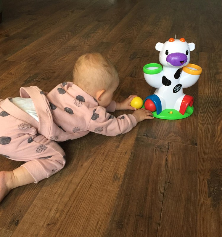 Тестирование игрушки Bright Starts - музыкальная корова