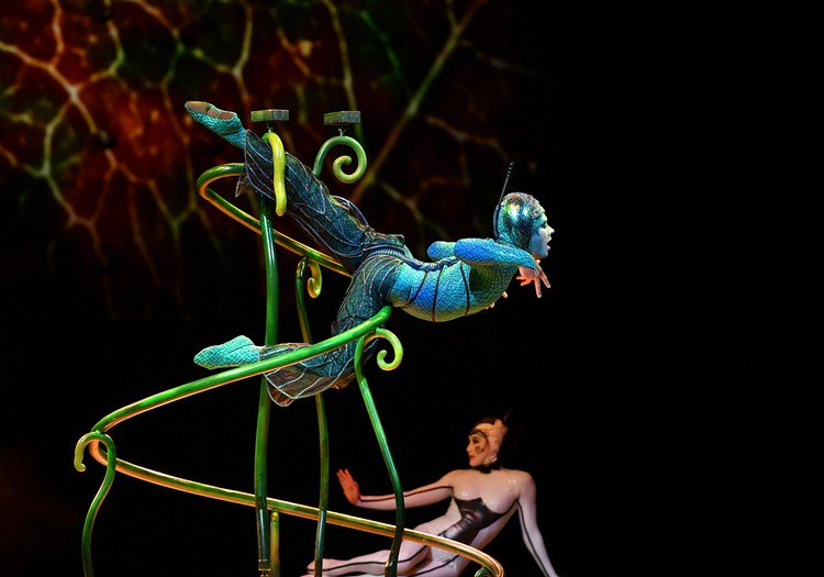 Распроданы билеты на один из спектаклей Cirque du Soleil - ОVО!