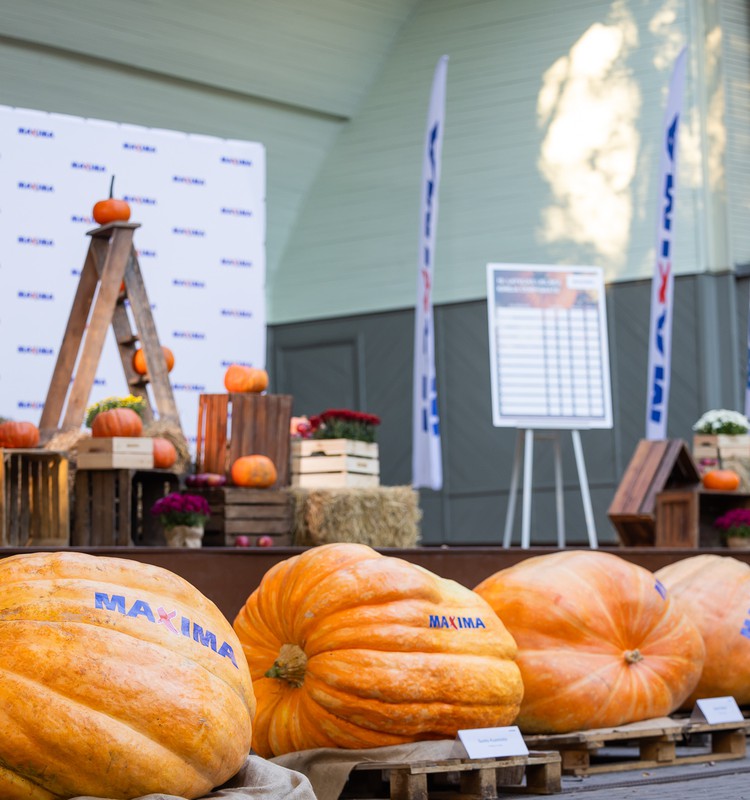 Юбилейный “Чемпионат самой  большой тыквы Латвии»