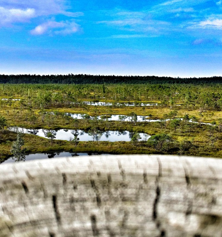 100 ДНЕЙ ЛЕТА: день 62, Юрмала - день 5