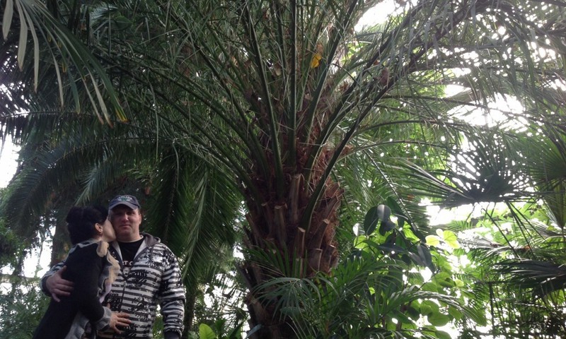 Лучшая жена для мужа сладкоежки