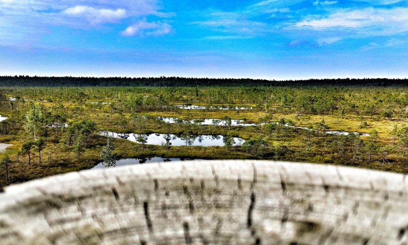 Большое Кемерское болото