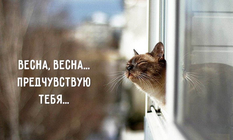 Девчонки, у кого весенний авитаминоз? 