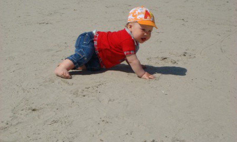 Проводите ли вы профилактику от глистов?