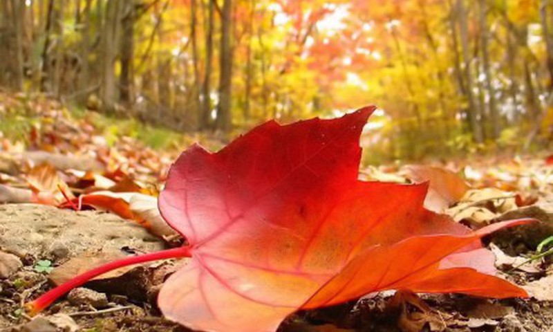 В ночь на воскресенье Латвия переходит на зимнее время