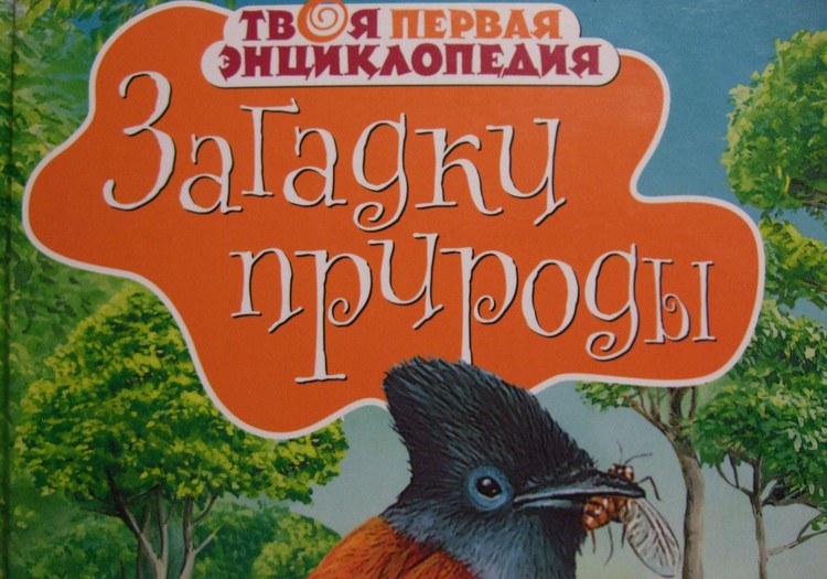 НАХОДКА: «Загадки природы»