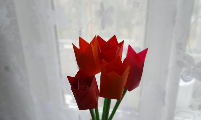 МАСТЕР-КЛАСС: Делаем цветы, которые никогда не завянут