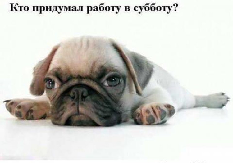 АФИША: Впереди всего один выходной