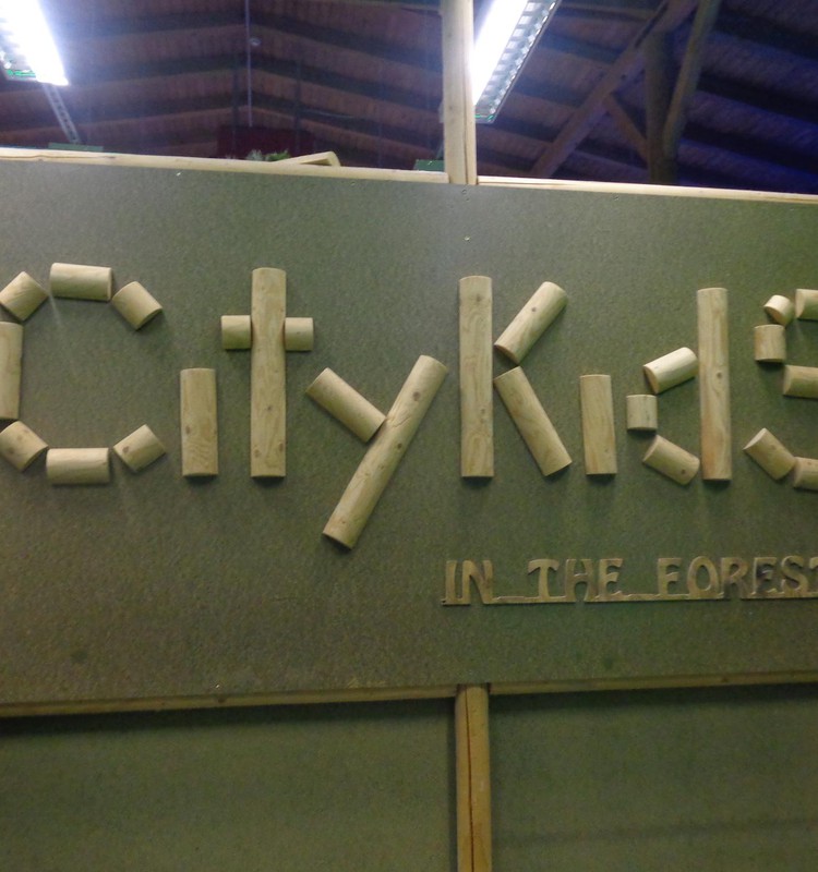 Детский городок – City Kids