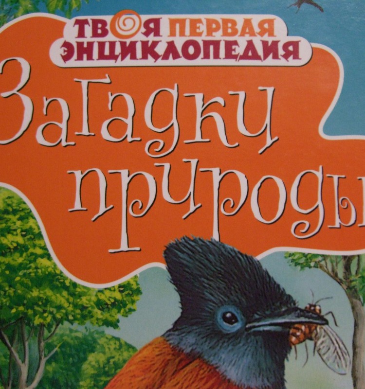 НАХОДКА: «Загадки природы»