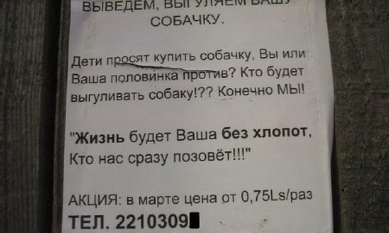 Выведем, выгуляем вашу собачку!