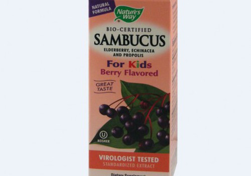 Ответы на самые популярные вопросы о Sambucus Kids