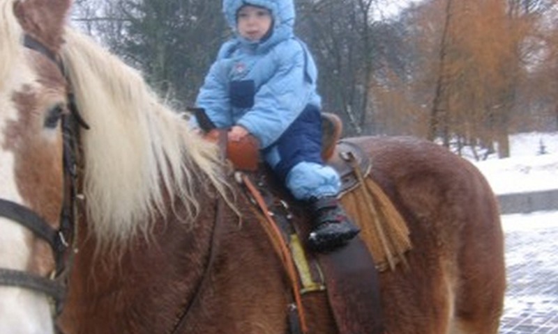 Какое у вашего ребенка любимое животное?