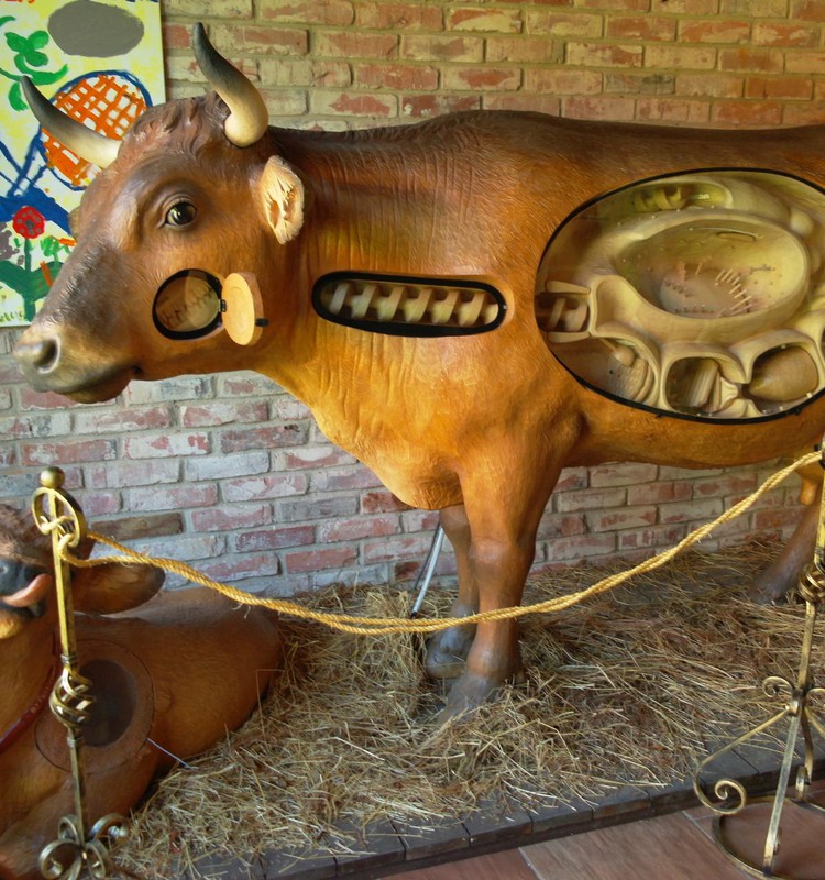 Молочное поместье Бергхоф,  Музей молока, СПА и Таверна роз