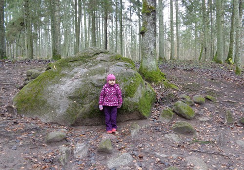 Покайнский лес – самый загадочный в Латвии
