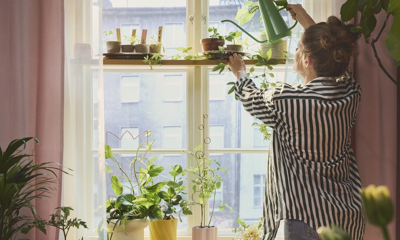 От подоконников до полок - как интегрировать весеннюю рассаду в интерьер