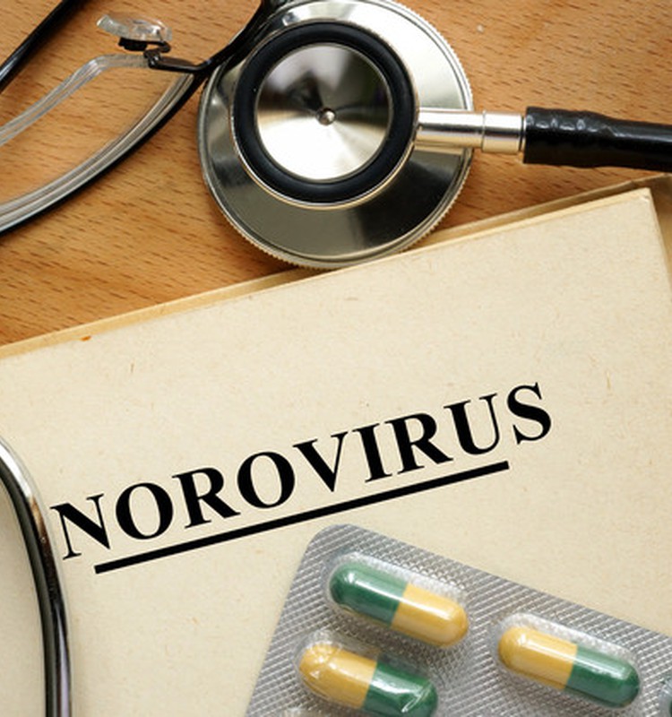 Личный опыт: Норовирус?