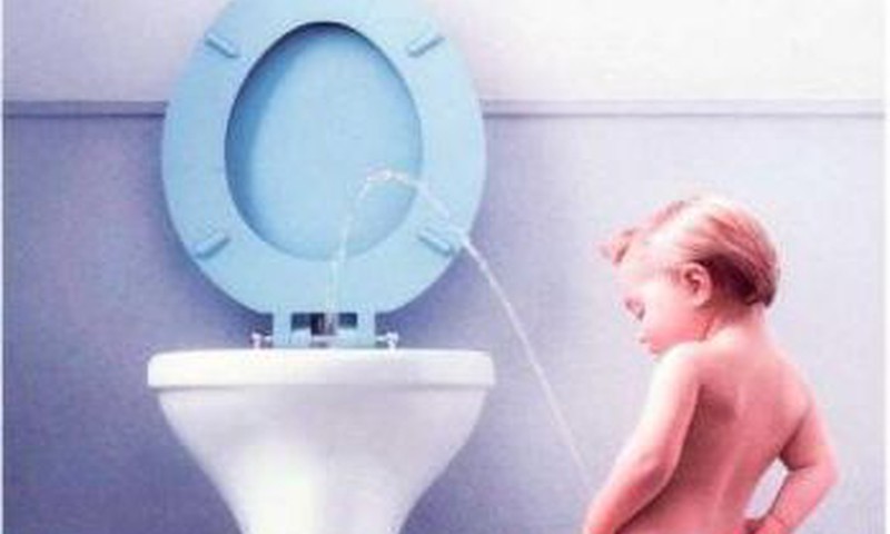 Когда ваш ребёнок стал ходить на взрослый унитаз?