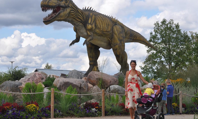 ЛЕТНИЙ ГИД: а знаете ли вы, что у нас в Латвии живут....динозавры?