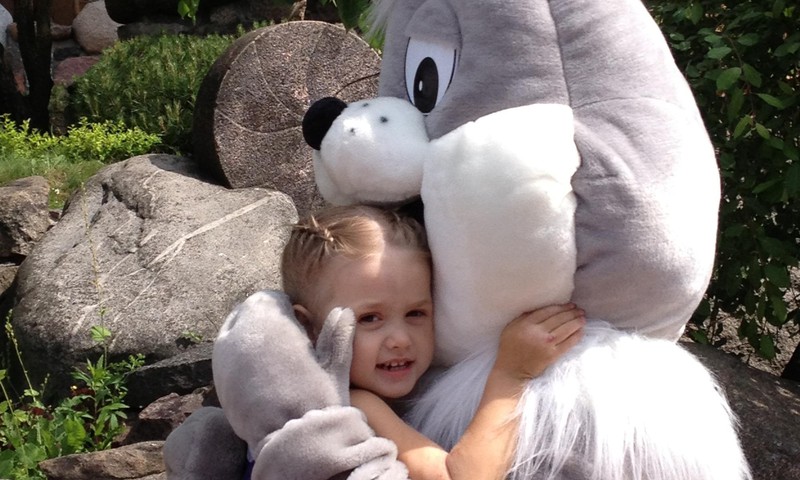 Наша скромная коллекция игрушек