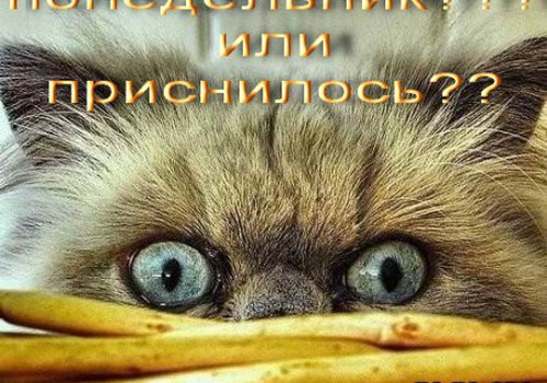 Ты прямолинейный человек?