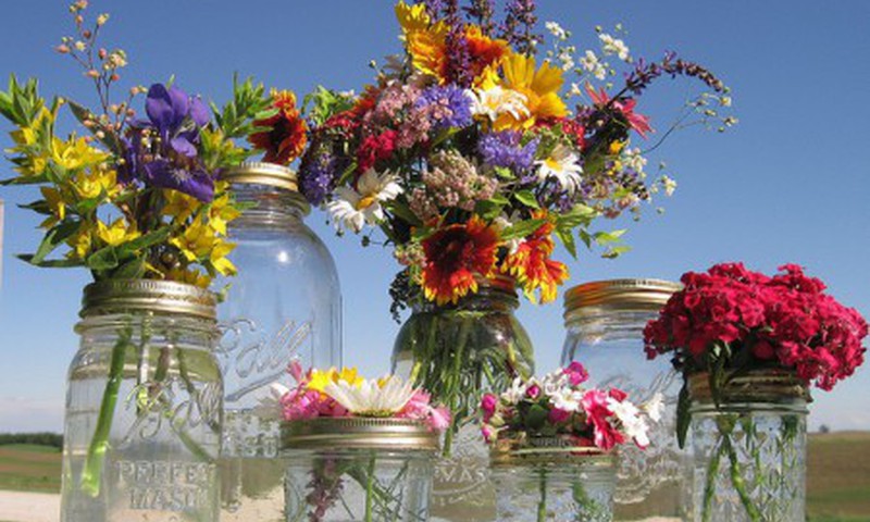 4 способа, как дольше сохранить цветы свежими