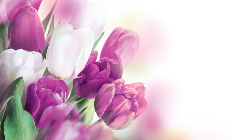 Международный женский день в СПА BalticBeach