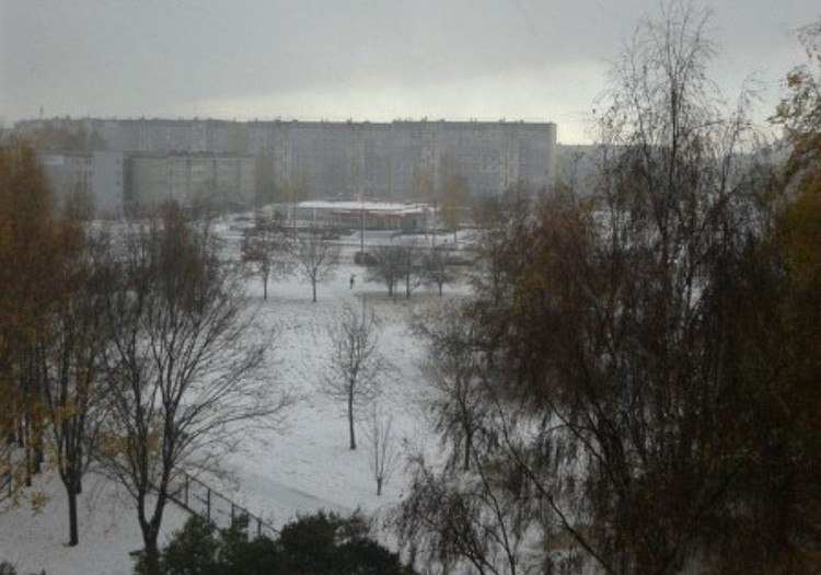 ФОТОКОНКУРС: Покажи нам ПЕРВЫЙ снег!