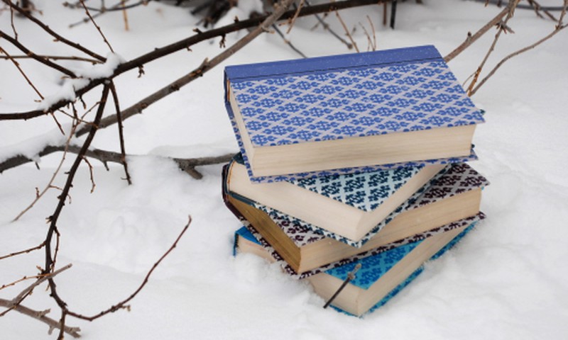 Отзывы о детских книгах: декабрь