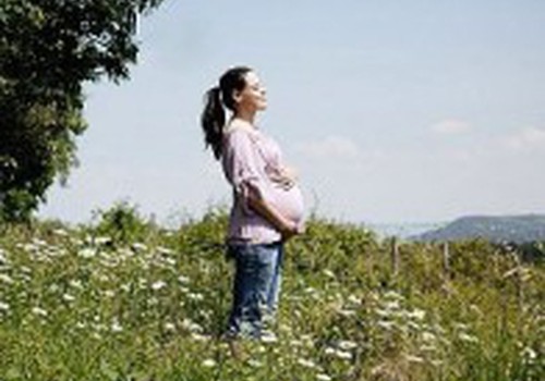 Может ли укус клеща беременной женщины навредить ребенку?