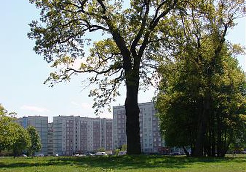 Большая прогулка! Привет, милые мамы Зиепниеккалнсa 