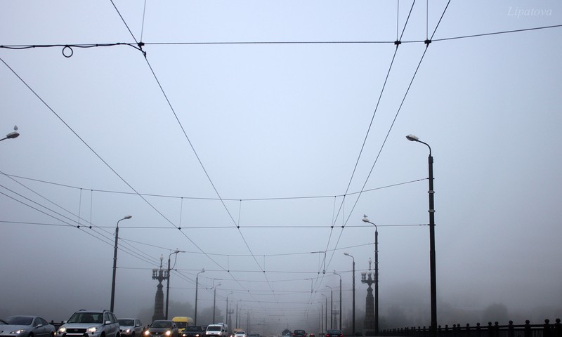 Фото: пятничный туман