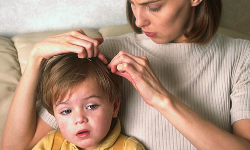 Миссия: победить вши!