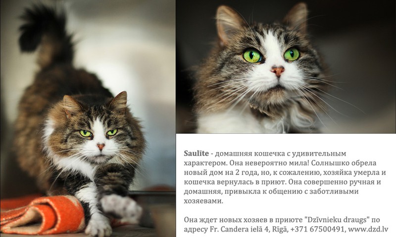 Солнышко готова светить у вас дома!