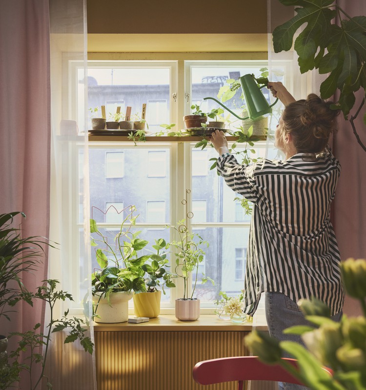 От подоконников до полок - как интегрировать весеннюю рассаду в интерьер