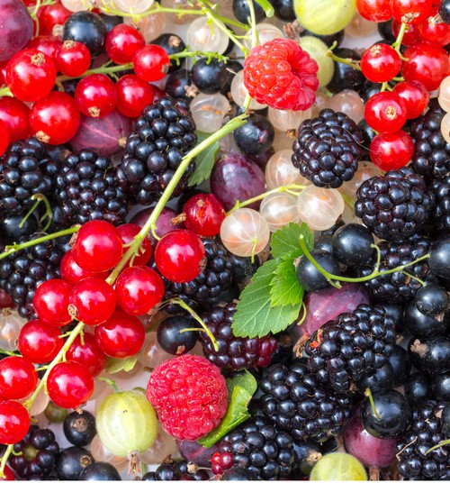 Когда желудок горит от ягод и фруктов: Почему летом повышается уровень кислотности желудка и что можно сделать?