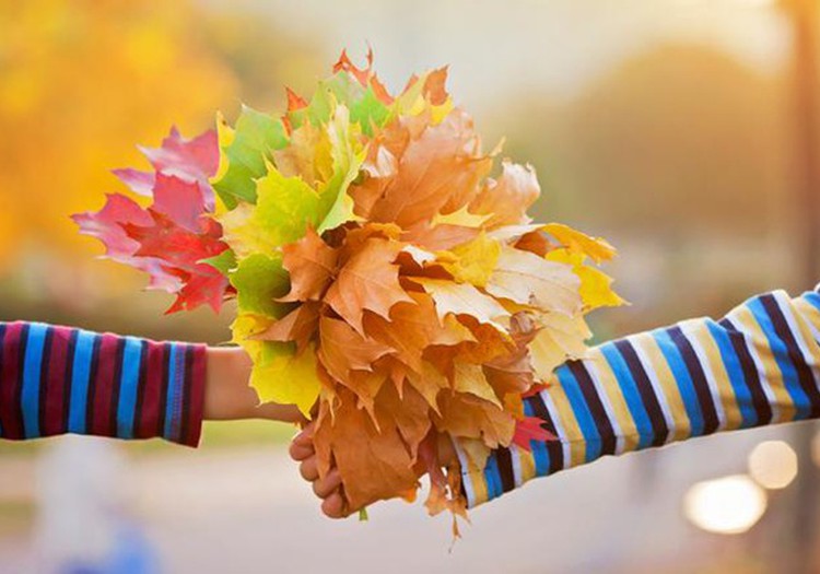 Спасибо, что поделились моментами золотой осени!