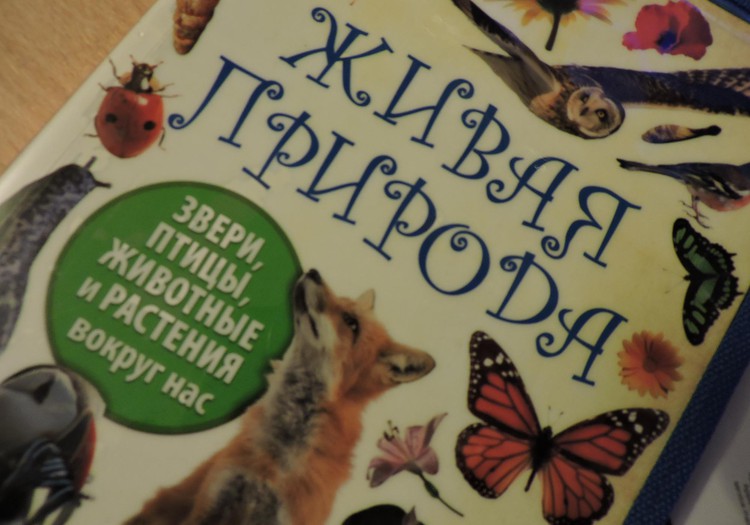 Рубрика «Находка»: Живая природа от Терри Дженнингс