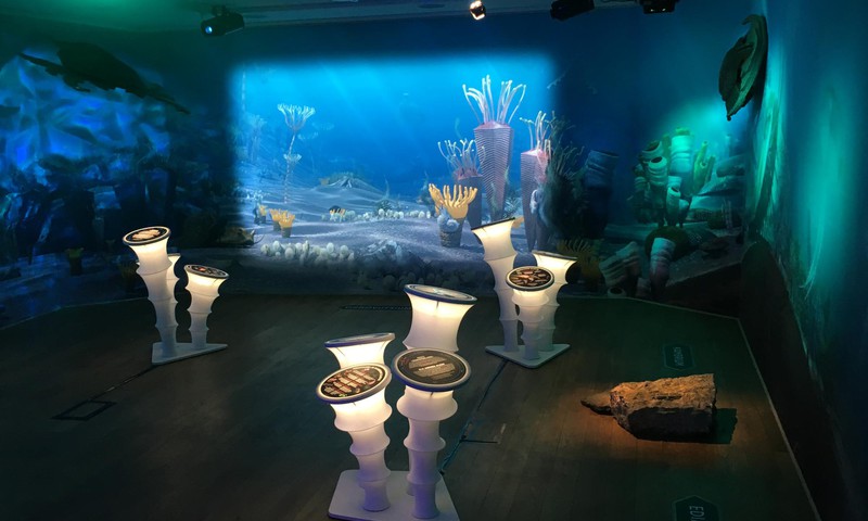 Познавательная выставка «Тайны морских глубин» открыта для посетителей