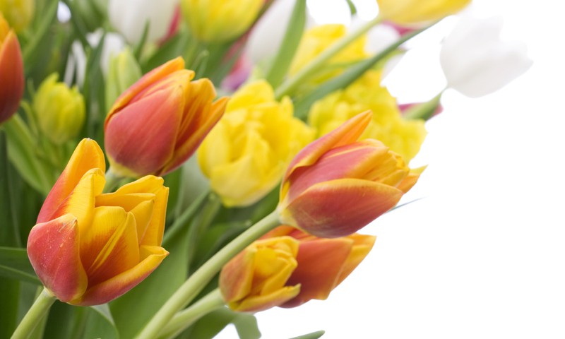 Следи за страничкой Маминого Клуба в Facebook и выиграй эксклюзивную косметику!