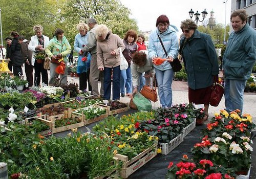 В Латвии состоится "Парад саженцев – 2011"