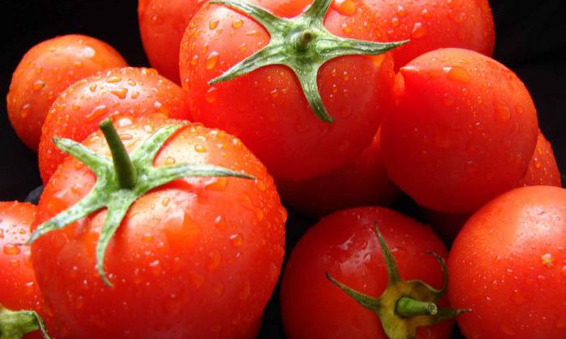 №1 Юля: Я определила себя в овощи - это томат