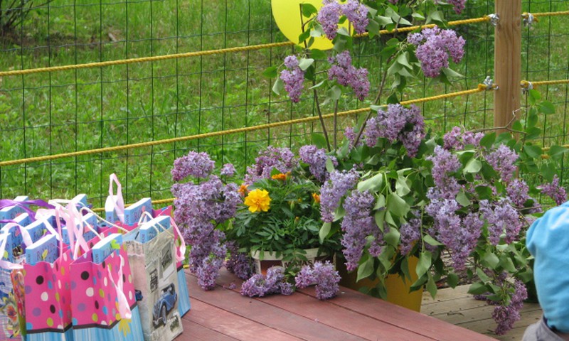 Как «Детки» праздновали конец учебного года