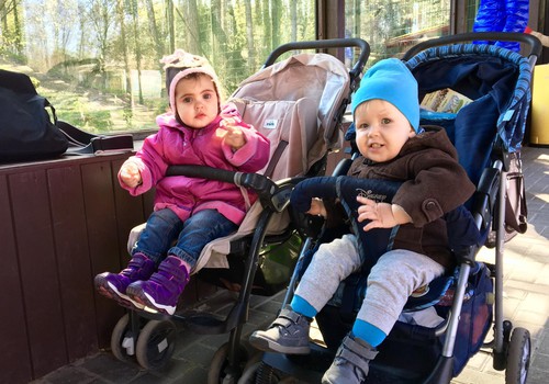 Приключения Элли и Итана: История о том, как наши малыши в зоопарк ходили