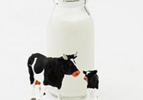 Молочные продукты - это кладезь витаминов!
