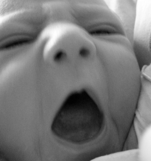 НОВЫЙ БЛОГ! Отныне на МК читайте записки высокого папаши!