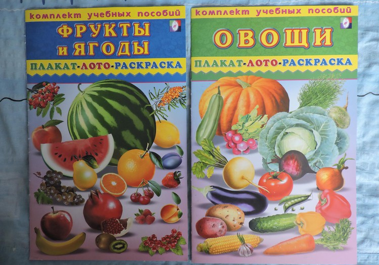 Рубрика «Находка»: Комплект учебных пособий – плакат, лото, раскраска