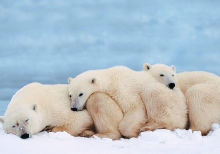 МУЗ-АДВЕНТ: Лааа-ла-ла-ла-ла...