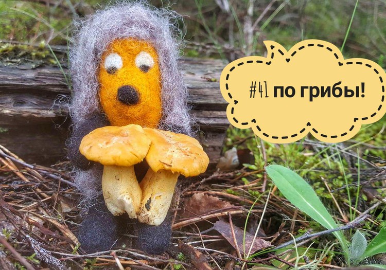 100 ДНЕЙ ЛЕТА: дни 41-47 По грибы!